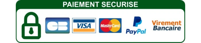 présentation moyens de paiement
