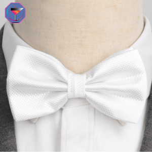 Noeud Papillon Blanc