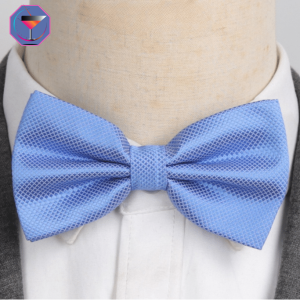 Noeud Papillon Bleu Ciel