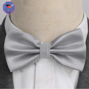 Noeud Papillon Gris